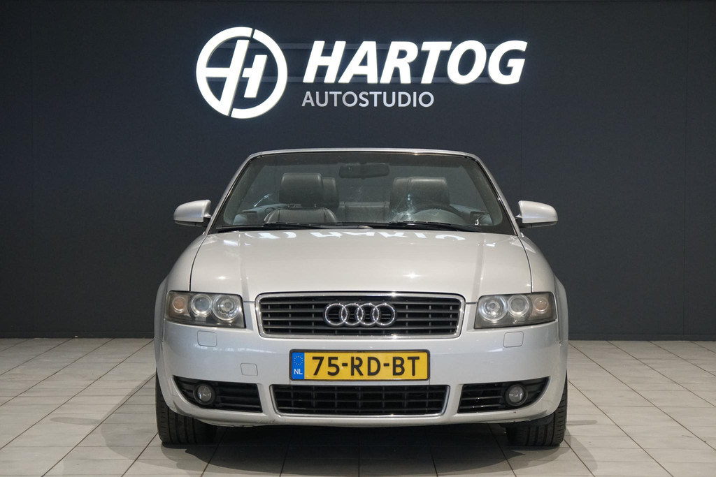 43137017-4.jpg